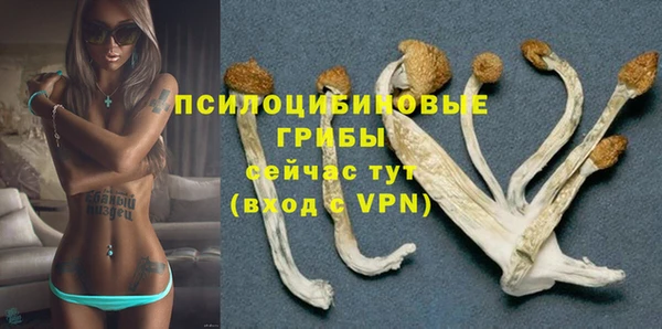 ешки Покровск