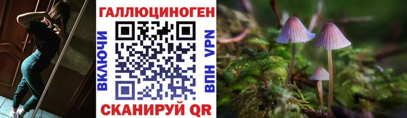 дарк нет какой сайт Бузулук Галлюциногенные грибы мицелий